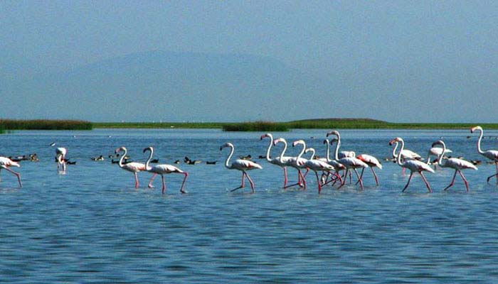 Chilika Lake