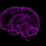 Tiny Brain