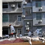 China collapse
