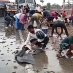 fish loot