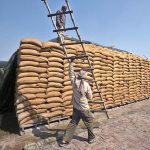 wheat consignment