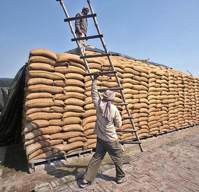 wheat consignment