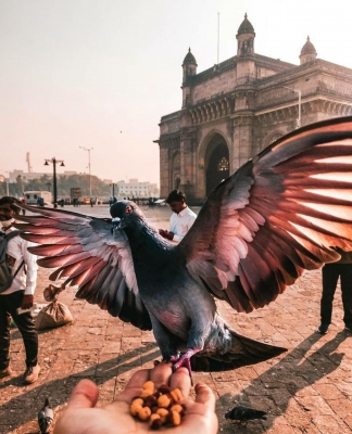 Gateway Of India