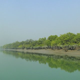 Sundarbans