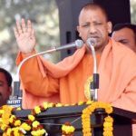 Yogi