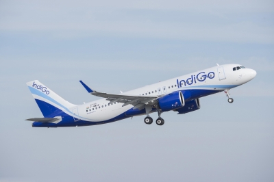 indigo