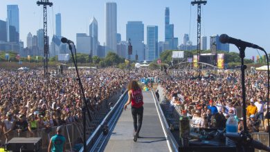 Lollapooza fest