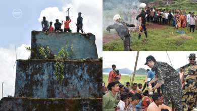 500 Maoist Militias Surrender Odisha