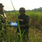 BSF-Pak