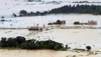 Odisha floods