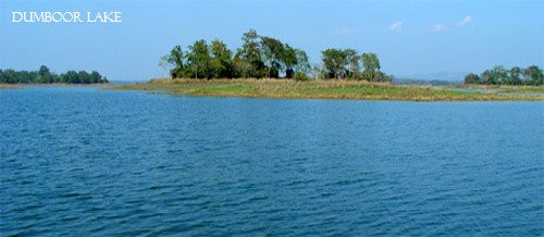 Dumboor lake