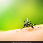 mosquito day