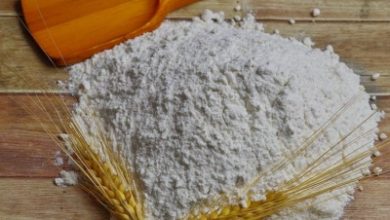 wheat flour