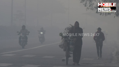 Odisha Temperature Below 20 Degree