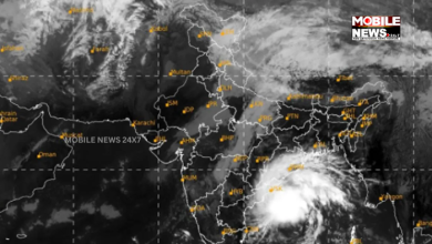 Cyclone Update