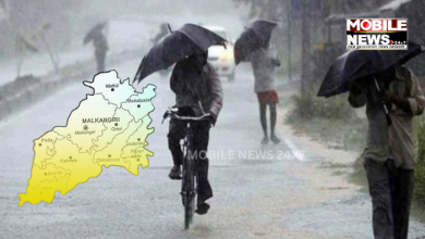 Light Rain Likely In Two Odisha Districts