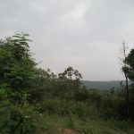 Karnataka