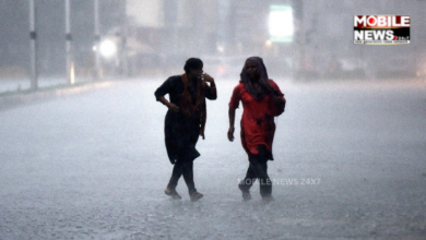 Rainfall Likely In Odisha