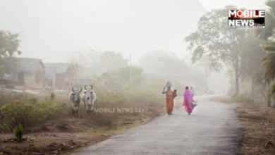 Fog Likely Across Odisha