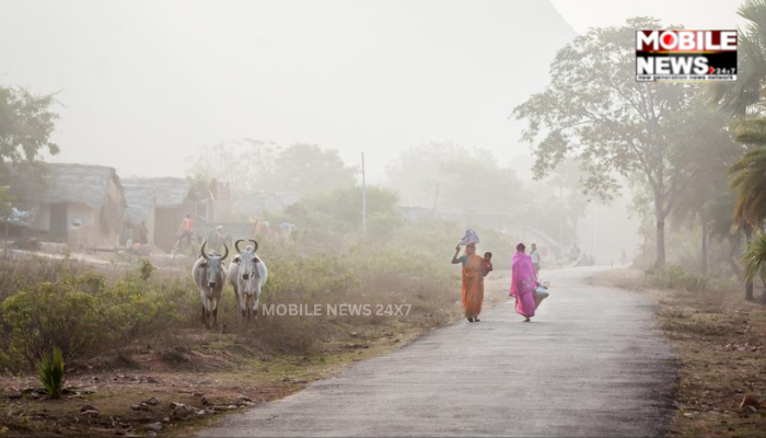 Fog Likely Across Odisha