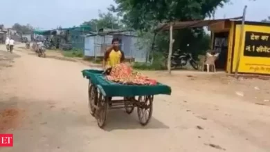 On Vegetable Cart