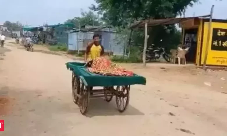 On Vegetable Cart