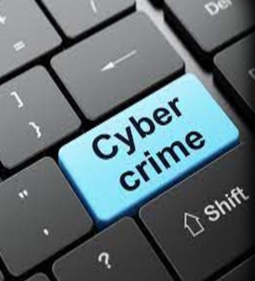 Cyber crimes