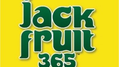 Jack fruit flour