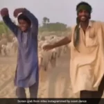 Shepherd dance