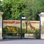 UP Zoo