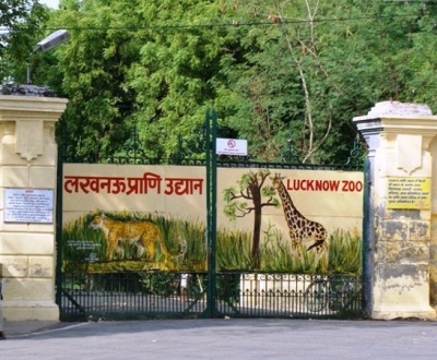 UP Zoo