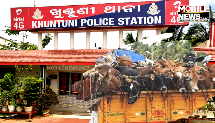 Cattle Smuggling In Cuttack