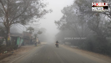 Fog Likely In Odisha Till Jan 25