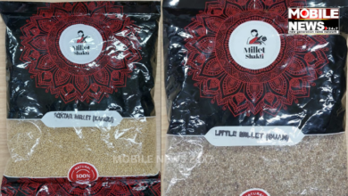 Millets Exported From Odisha