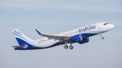 Indigo