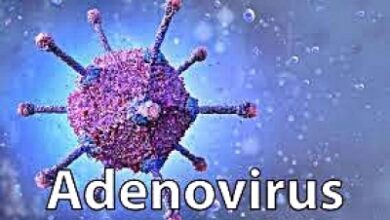 Odenovirus