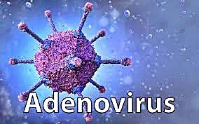 Odenovirus