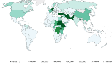 Pak refugee