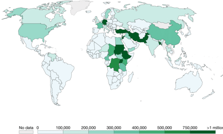 Pak refugee