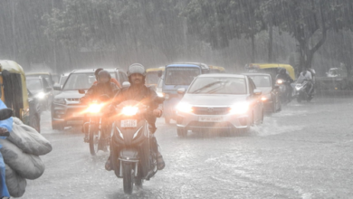 Delhi rains