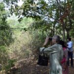 Bird atlas survey
