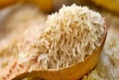 Rice