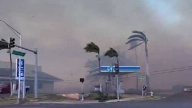 Wildfire Hawaii