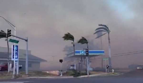 Wildfire Hawaii