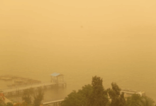#AustraliaDustStorm #ClimateCrisis #ExtremeWeather #AirQualityAlert #SoilErosion #ClimateChangeAustralia
