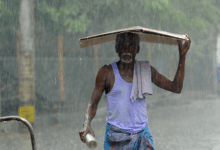 #TamilNaduRains #TourismHit #UnseasonalWeather #WesternGhats #TravelAlerts