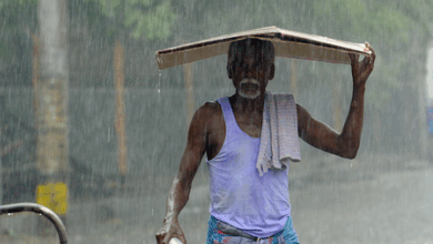 #TamilNaduRains #TourismHit #UnseasonalWeather #WesternGhats #TravelAlerts