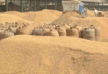 #IndiaAgriculture #RecordFoodgrainProduction #FarmersWelfare #MSPHike #AgriGrowth2025