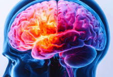 #WomenHealth #BrainAging #Menopause #Oestrogen #DementiaRisk #ReproductiveHealth