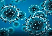 #Covid19 #Influenza #PublicHealth #FungalSpores #EnvironmentalHealth #ASM2025 #VirusPrediction #AsthmaCare #HealthResearch